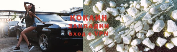 прущие грибы Аркадак