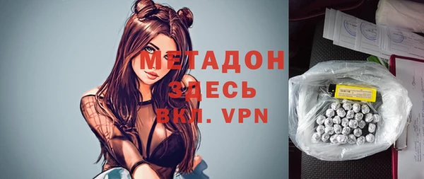 прущие грибы Аркадак