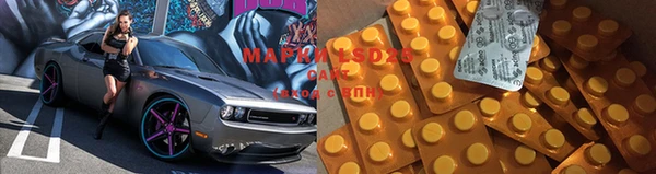 прущие грибы Аркадак