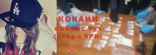 эйфоретик Арсеньев