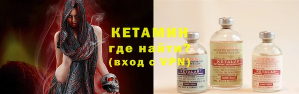 прущие грибы Аркадак
