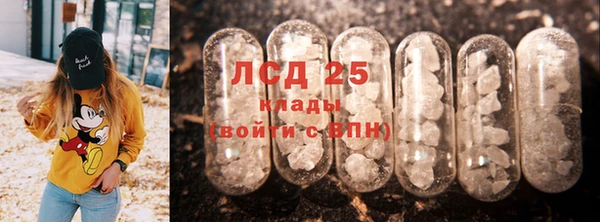 прущие грибы Аркадак