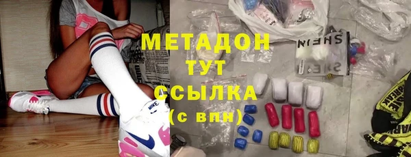 прущие грибы Аркадак